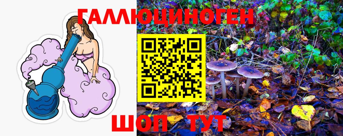 Псилоцибиновые грибы Magic Shrooms Дивногорск
