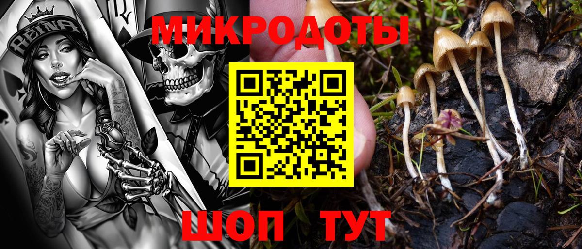 Дивногорск  Галлюциногенные грибы ЛСД  закладка  Вход с VPN 